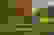 item-94978206=5