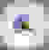 item-94999856=2