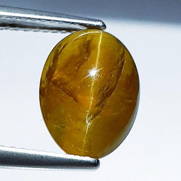 16.17 ct Natural Apatite cat's Eye: No Reserve! Title: 16.17 ct Natural Apatite cat's Eye Color/Clarity: Semi Transparent Carat Weight: 16.17 Size/Dimensions: 11.90 x 8.80 x 6.70 Additional Information: Oval - Africa Shipping: Domesti