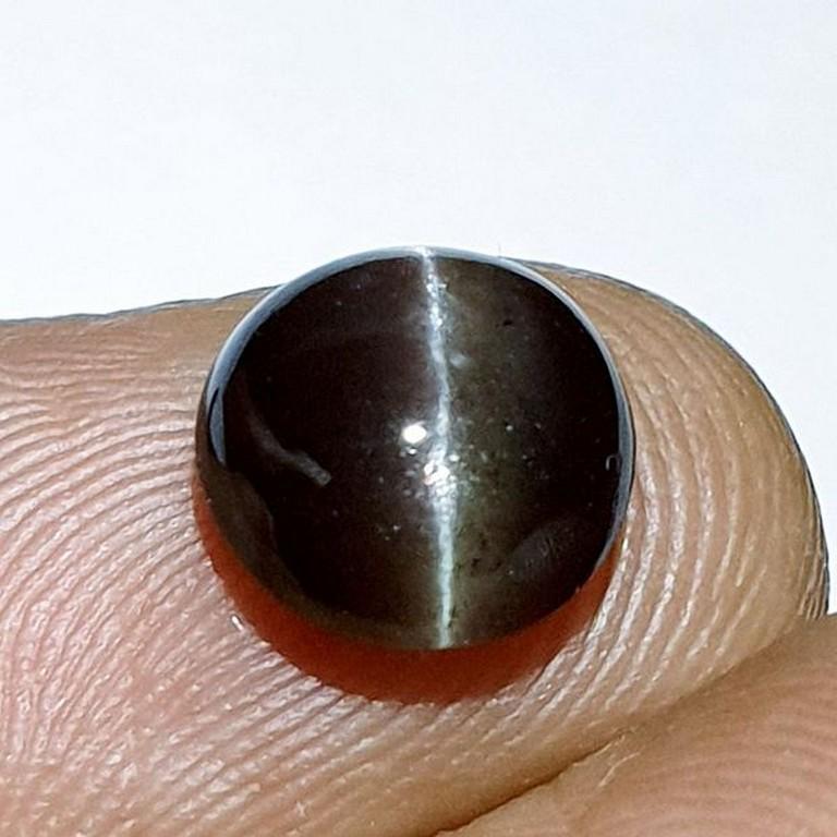 Natural Scapolite Cat's Eye 2.93 ct: No Reserve! Title: Natural Scapolite Cat's Eye 2.93 ct Color/Clarity: Opaque Carat Weight: 2.93 Size/Dimensions: 9.10 x 9.10 x 4.80 Additional Information: Round - Africa Shipping: Domestic: Flat-rat