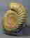 item-95003363=2