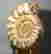 item-95003371=3