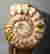 item-95003371=4