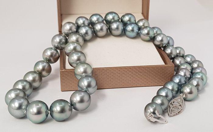 14 kt. White Gold - 8.6x10mm Silvery Tahitian Pearls -: Title: 14 kt. White Gold - 8.6x10mm Silvery Tahitian Pearls - Necklace Description: Tahitian pearls are cultured in the warm ocean waters of the eastern South Pacific, mainly in the archipelagos of Fr