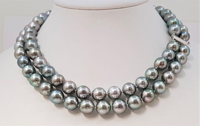 10x12mm Silvery Grey Tahitian Pearls - Double 2strand (1 of 10)