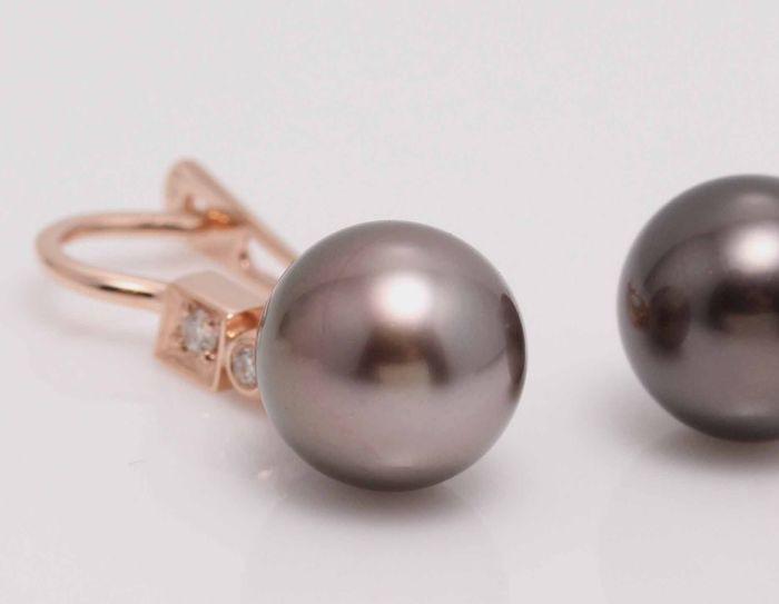 14 kt. Rose Gold- 9x10mm Tahitian Pearl Drops -: Title: 14 kt. Rose Gold- 9x10mm Tahitian Pearl Drops - Earrings - 0.07 ct Description: Produced by the Pinctada Margaritifera Oyster in the tropical lagoons of French Polynesia, these pearls have been