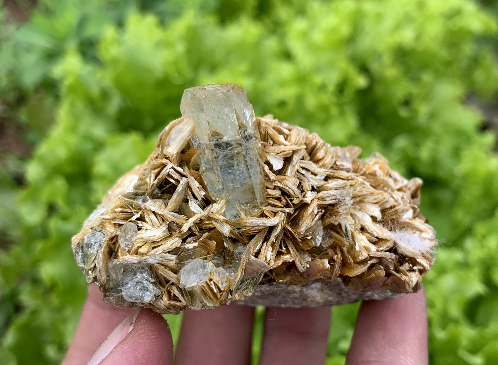 142 Gram Amazing Natural Aquamarine With Mica Specimen: Title: 142 Gram Amazing Natural Aquamarine With Mica Specimen Treatment: Natural Weight: 142 Gram Size/Dimensions: 63x32x48 mm Origin: Pakistan Reserve: $20.00 Shipping: Domestic: Flat-rate of $15.00 