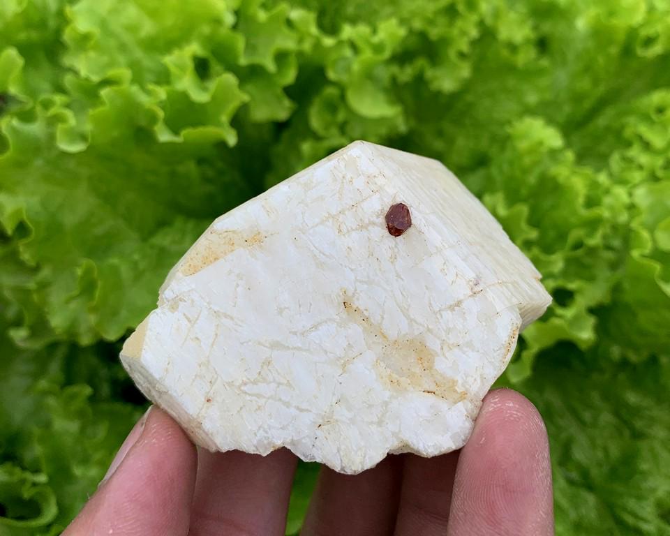 86 Gram Stunning Natural Garnet With Feldspar Specimen: Title: 86 Gram Stunning Natural Garnet With Feldspar Specimen Treatment: Natural Weight: 86 Gram Size/Dimensions: 60x45x26 mm Origin: Pakistan Reserve: $7.00 Shipping: Domestic: Flat-rate of $15.00 to