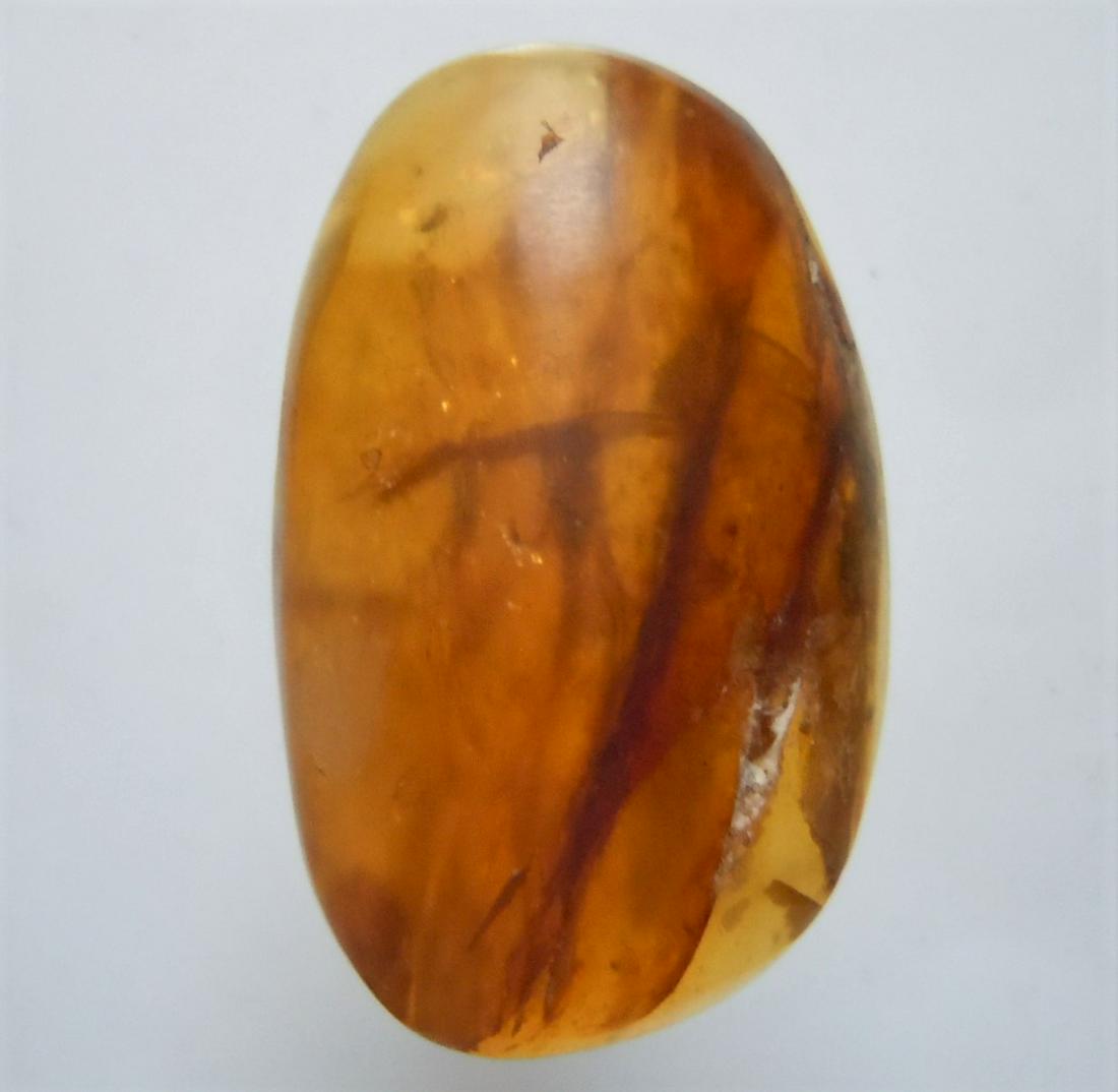 100 MILL YEARS OLD BURMITE AMBER WITH PLANT: Title: 100 MILL YEARS OLD BURMITE AMBER WITH PLANT Origin: Hukawang Valley, Kachin State, Myanmar Size: 2.6x1.6x0.75 cm / 2.14 gram light brown burmite amber with plant inclusions. some natural cracks