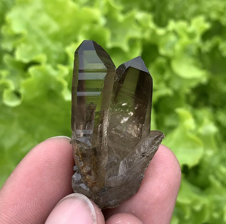 15 Gram Beautiful Clear Natural Twin Smoky Quartz: Title: 15 Gram Beautiful Clear Natural Twin Smoky Quartz Specimen Treatment: Natural Weight: 15 Gram Size/Dimensions: 37x23x15 mm Origin: Pakistan Reserve: $20.00 Shipping: Domestic: Flat-rate of $15.