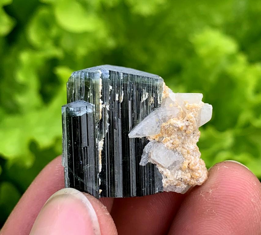11 Gram Amazing Natural Tri Color Tourmaline Crystal: Title: 11 Gram Amazing Natural Tri Color Tourmaline Crystal Treatment: Natural Weight: 11 Gram Size/Dimensions: 20x20x14 mm Origin: Pakistan Reserve: $20.00 Shipping: Domestic: Flat-rate of $15.00 to 