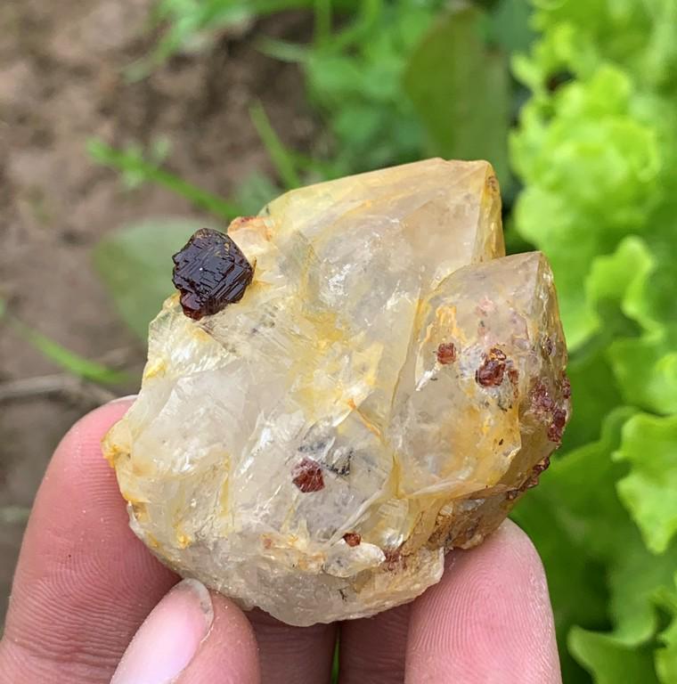 49 Gram Stunning Natural Garnet With Quartz Specimen: Title: 49 Gram Stunning Natural Garnet With Quartz Specimen Treatment: Natural Weight: 49 Gram Size/Dimensions: 48x40x25 mm Origin: Pakistan Reserve: $10.00 Shipping: Domestic: Flat-rate of $15.00 to 