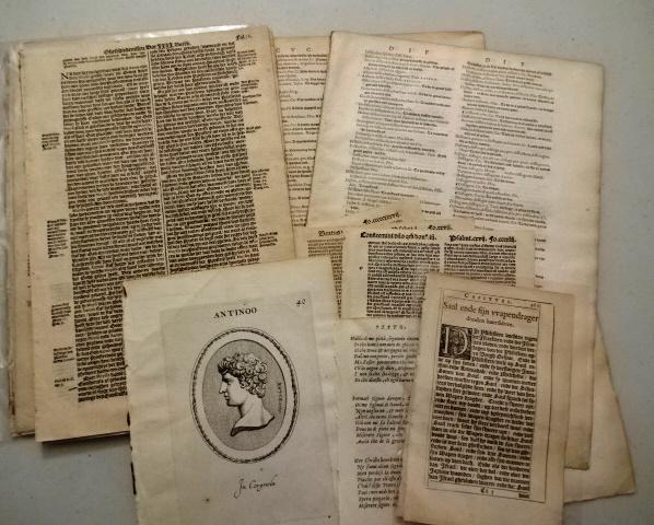 Lot of 16th C 17th C Leaves (1 of 1)