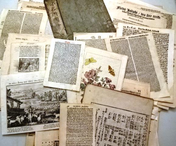 Large Lot of 16th-18th C Leaves (1 of 2)