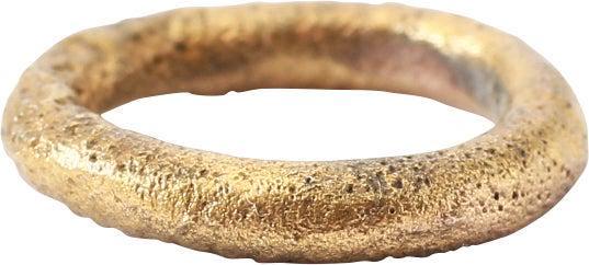 RARE VIKING BEARD RING, 10th-11th CENTURY AD: Gilt bronze. Circular and circular section. 0.40" inside dimension and 0.57 outside. The use of beard rings by Viking warriors is well documented but surviving examples are rare. Professionally refurb