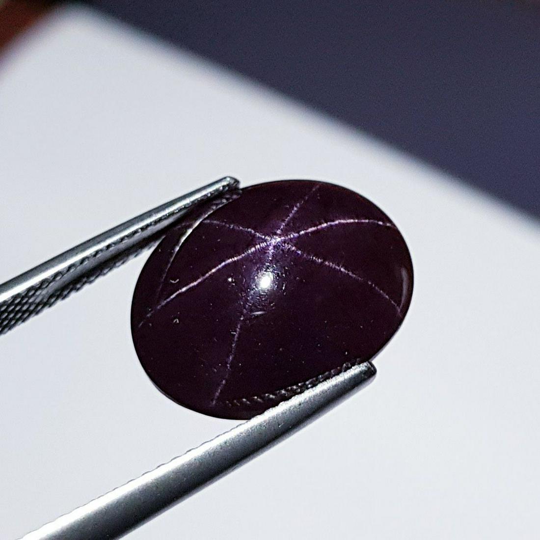 14.95 ct Natural Six Ray Star Garnet (1 of 6)