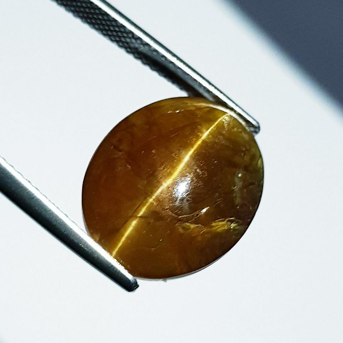 Natural Apatite cat's Eye 14.62 ct: No Reserve! Title: Natural Apatite cat's Eye 14.62 ct Color/Clarity: Opaque Gemstones: Loosegemstone Carat Weights: 14.62 Size/Dimensions: 17.00 x 14.00 x 7.40 Additional Information: Oval - Srilanka 