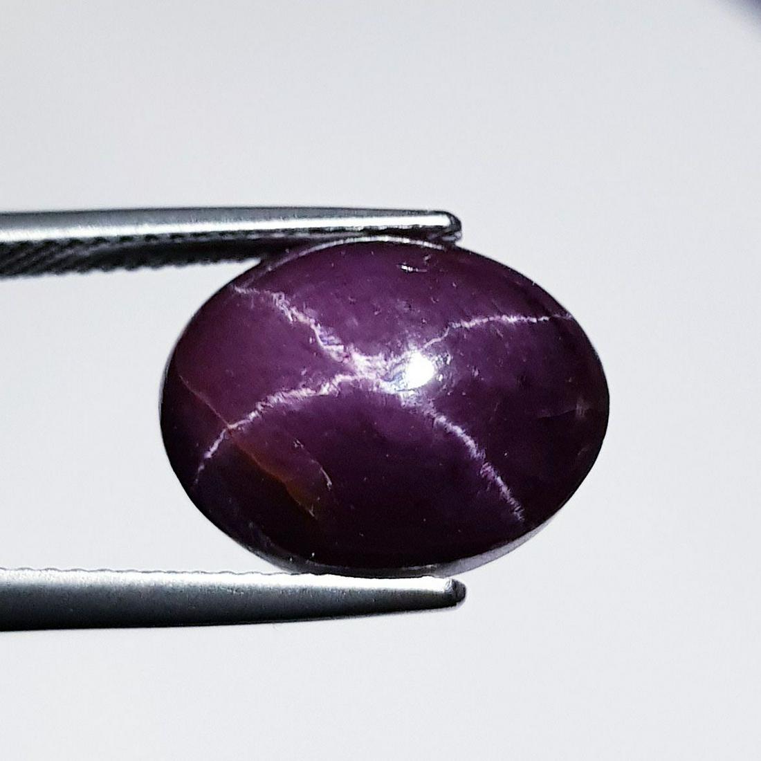 20.38 ct Natural Four Ray Star Garnet (1 of 6)