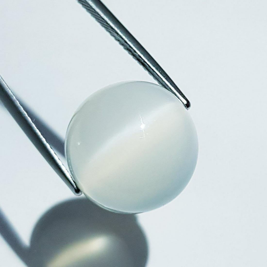 Natural  Moonstone Cat's Eye- 17.64 ct (1 of 6)