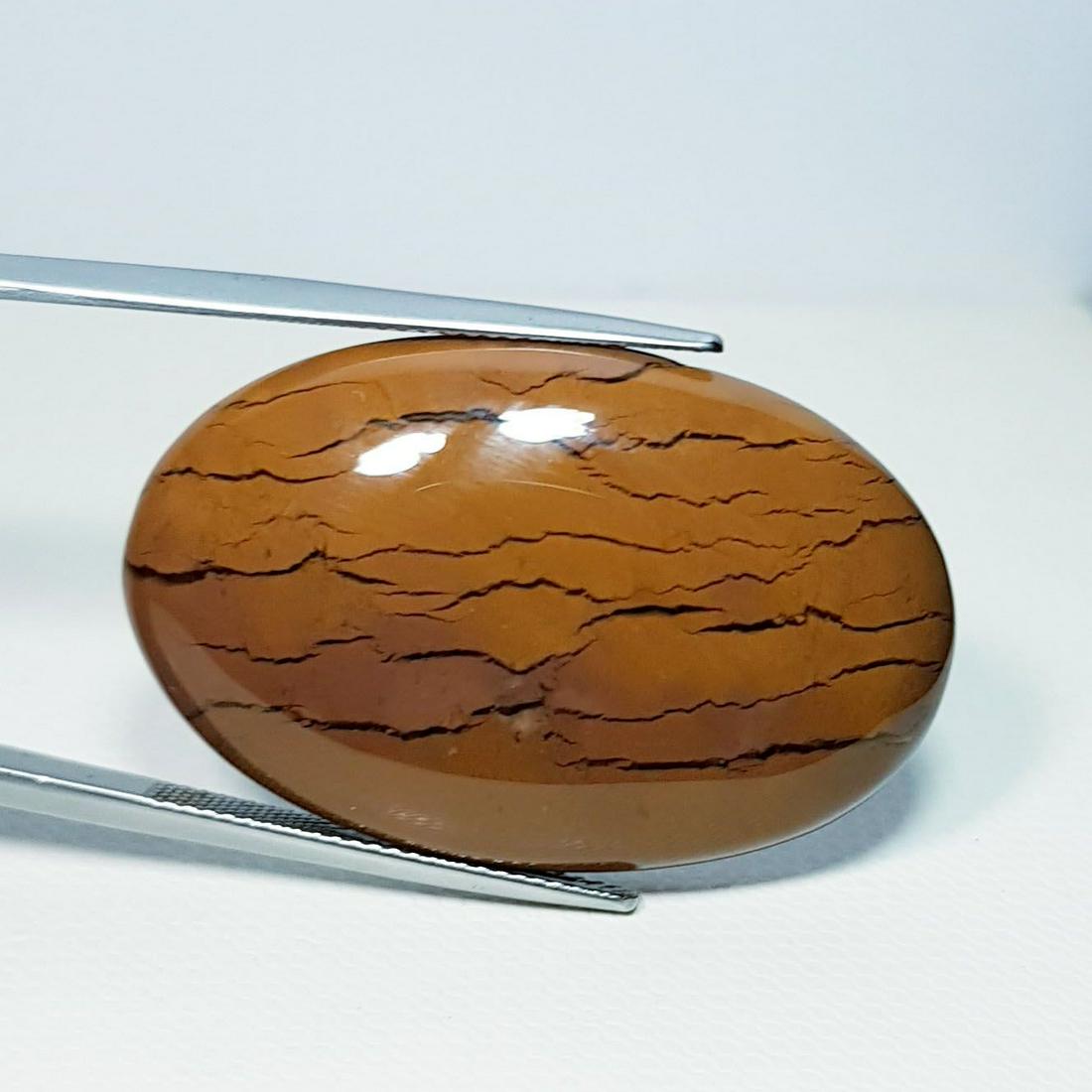 48.60 ct Natural Imperial Jasper (1 of 5)