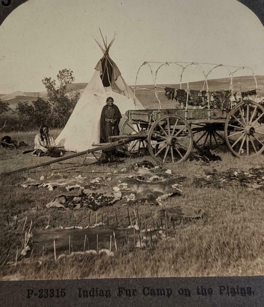 ca. 1900 NATIVE AMERICAN INDIAN FUR CAMP SIOUX CHIEF (1 of 3)
