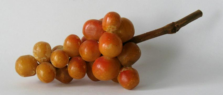 Vintage stone grapes. (1 of 1)