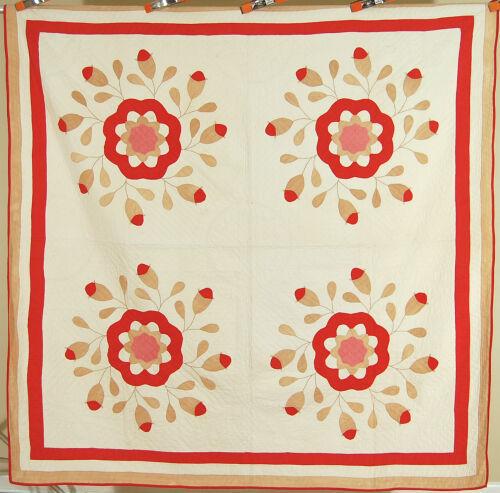 1880's Whig Rose Applique Quilt (1 of 9)