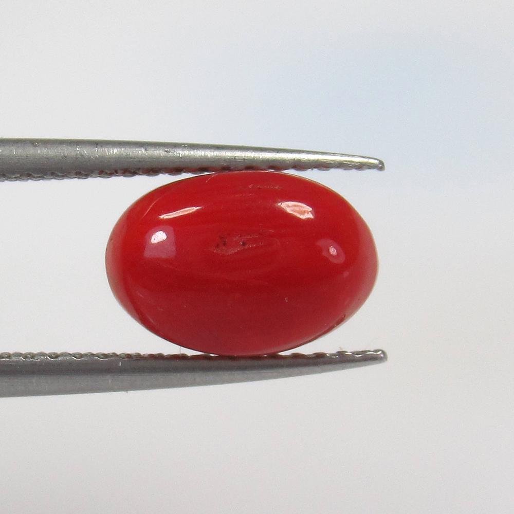 2.50 Ct Natural Red Coral Oval Cab (1 of 2)