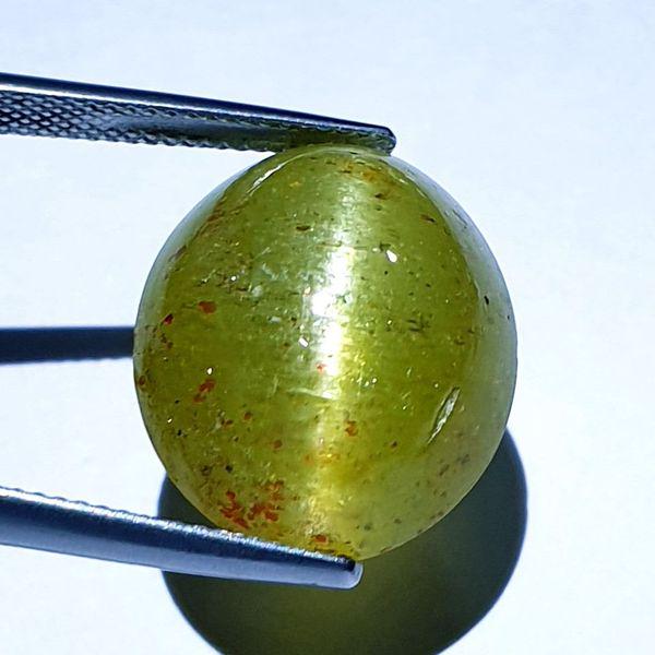 29.20 ct Natural Apatite cat's Eye: No Reserve! Title: 29.20 ct Natural Apatite cat's Eye Color/Clarity: Semi Transparent Gemstones: Loosegemstone Carat Weights: 29.2 Size/Dimensions: 19.20 x 16.20 x 11.80 Additional Information: Oval -