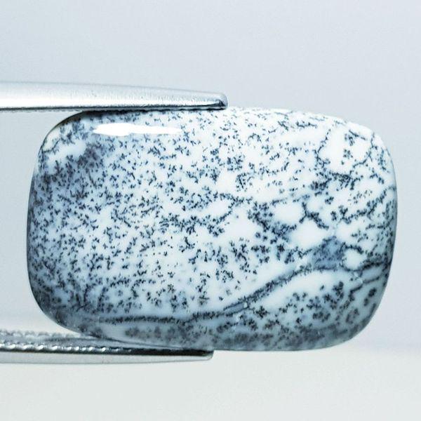 11.50 ct Natural Dendrite Opal (1 of 5)