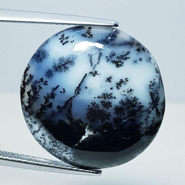 15.25 ct Natural Dendrite Opal (1 of 5)