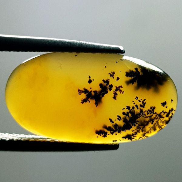 5.20 ct Natural Dendrite Opal (1 of 4)