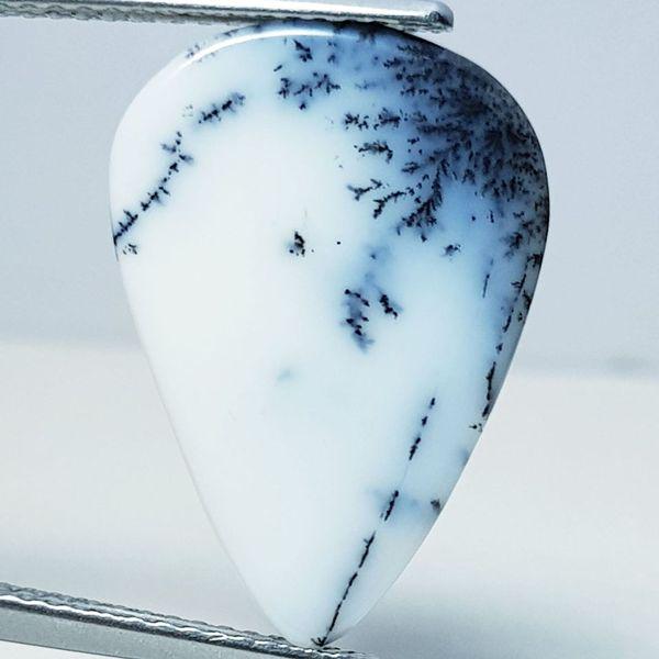 5.60 ct Natural Dendrite Opal (1 of 5)