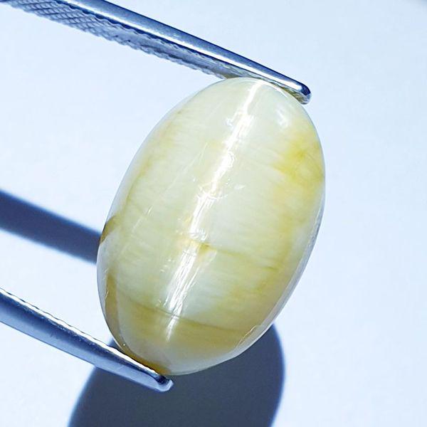 16.67 ct Natural Opal Cat's Eye: No Reserve! Title: 16.67 ct Natural Opal Cat's Eye Color/Clarity: Semi Transparent Gemstones: Loosegemstone Carat Weights: 16.67 Size/Dimensions: 18.00 x 11.50 x 13.40 Additional Information: Oval - A
