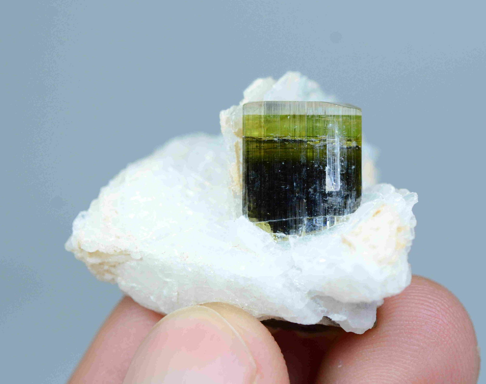 12 Gram Gorgeous Natural Tri Color Tourmaline With: Title: 12 Gram Gorgeous Natural Tri Color Tourmaline With AlbiteSpecimen Weight: 12 Gram Size/Dimensions: 33x32x24 mm Origin: Pakistan Reserve: $40.00 Shipping: Domestic: Flat-rate of $15.00 to anywhe