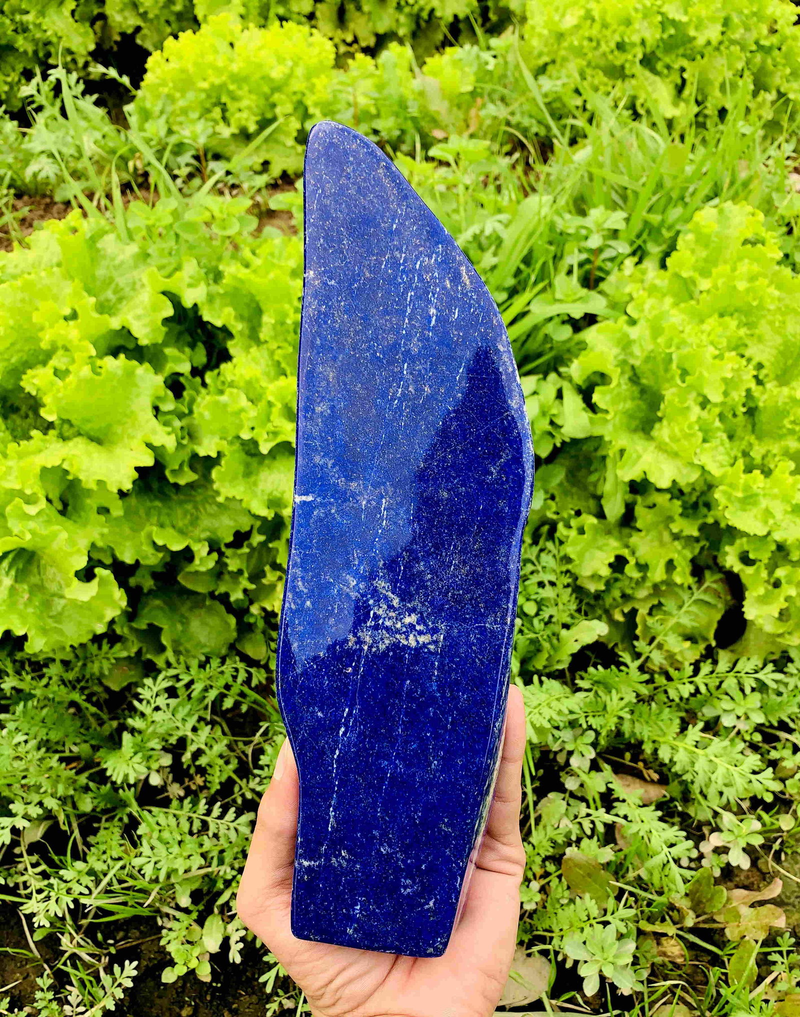 1832 Gram Superb Royal Blue Natural Hand Made Lapis: Title: 1832 Gram Superb Royal Blue Natural Hand Made Lapis Lazuli Tumble Treatment: Natural Total Weights: 1832 Gram Size/Dimensions: 208x106x33 mm Origin: Afghanistan Reserve: $180.00 Shipping: Dom