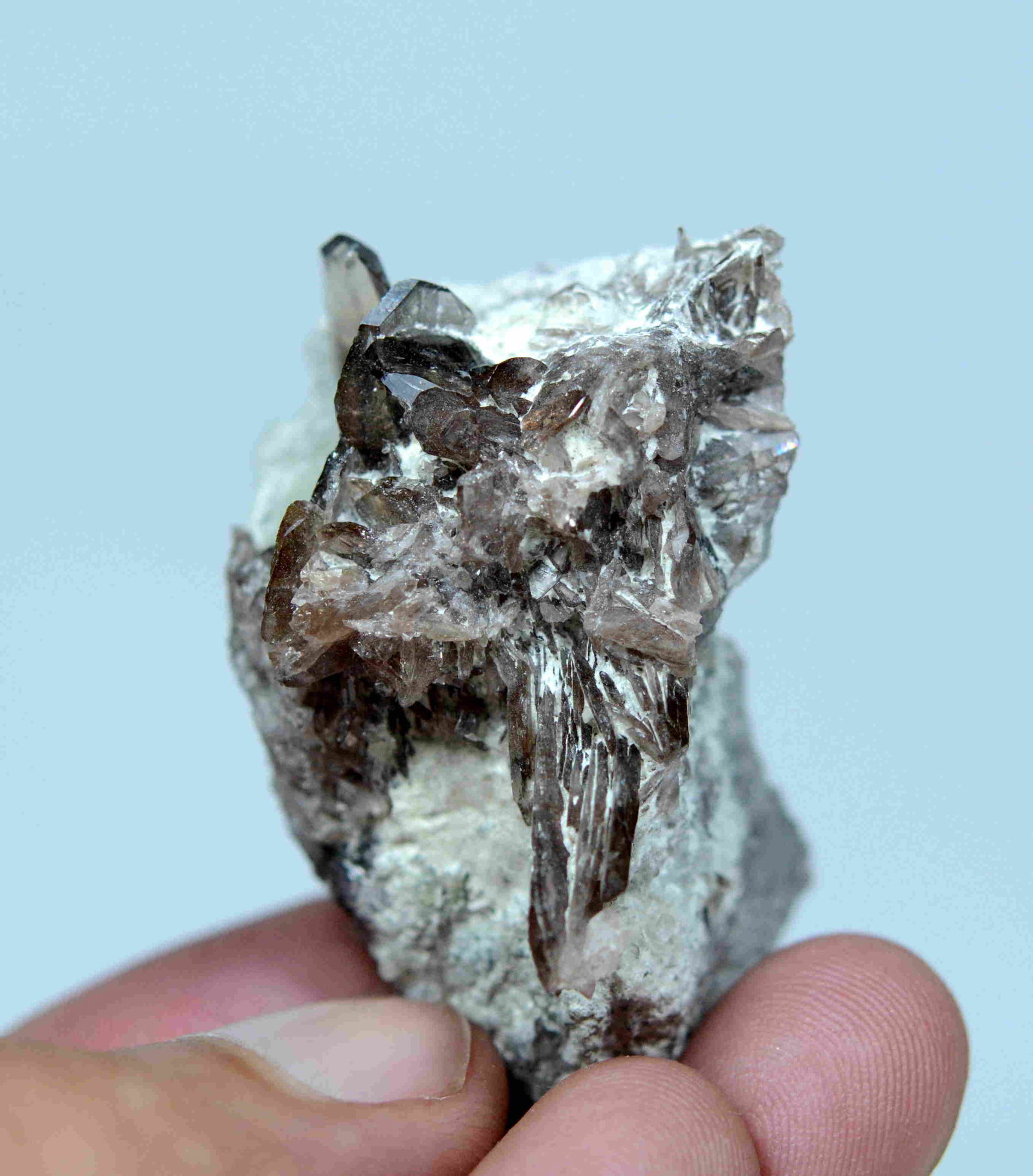 33 Gram Gorgeous Natural Axinite Specimen: Title: 33 Gram Gorgeous Natural Axinite Specimen Weight: 33 Gram Size/Dimensions: 45x30x21 mm Origin: Pakistan Reserve: $15.00 Shipping: Domestic: Flat-rate of $15.00 to anywhere within the contiguous