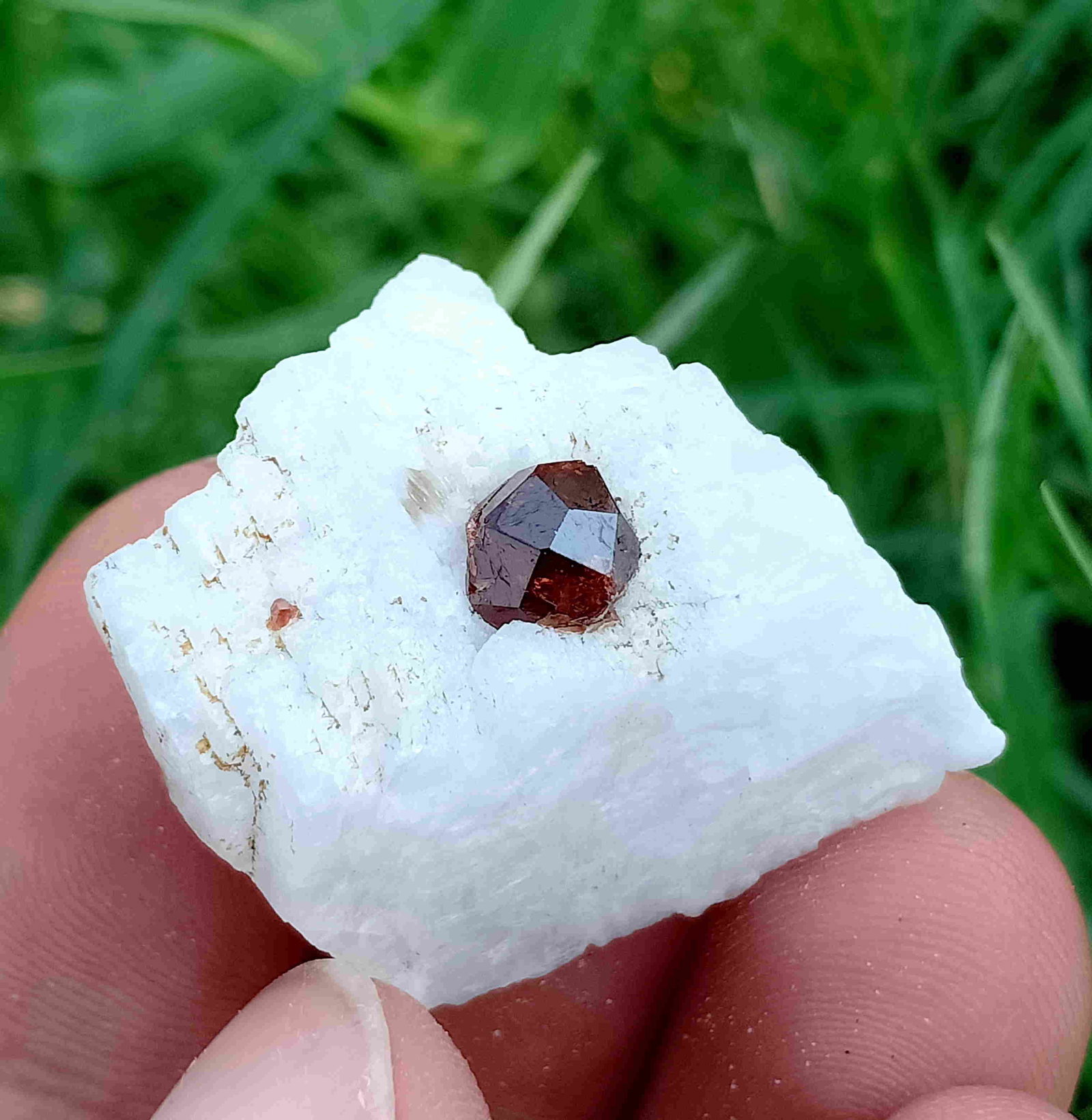 9 Gram Very Amazing Natural Garnet Specimen: Title: 9 Gram Very Amazing Natural Garnet Specimen Treatment: Natural Total Weights: 9 Gram Size/Dimensions: 25x23x12 mm Origin: Pakistan Reserve: $10.00 Shipping: Domestic: Flat-rate of $15.00