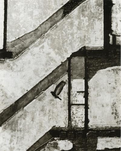 ANDRE KERTESZ - Landing Pigeon, New York, 1960: Artist: ANDRE KERTESZ Title: Landing Pigeon, New York, 1960 Medium: Photo Litho, 1993, Spain Dimensions: 5.35x6.65" Description: Heat Wax Mounted on 8.5x11" Conservation Board Artist Bio: Andre Kertes