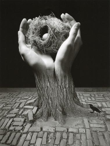 JERRY UELSMANN - Journey into Night, 2006 (1 of 1)