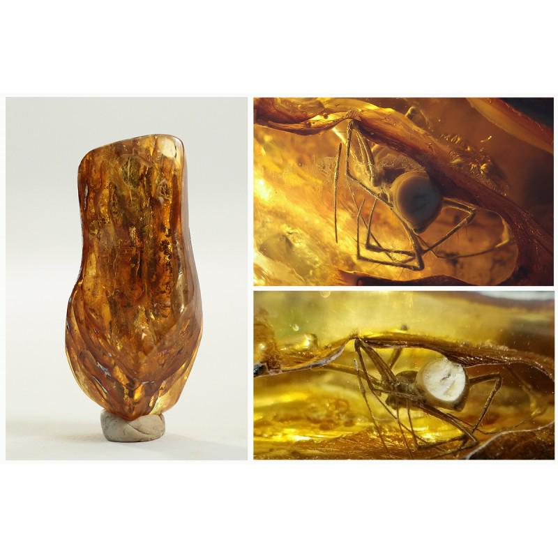 Natural Baltic amber stone with fossil spider (araneae): Weight: 14,3 gram (0.50 oz) Size: 18x27x57 mm Inclusion: spider Age: 45-50 million years old Stone: 100% natural Baltic amber Treatment: no Condition: as on the photo (good) Tested 100% natural Baltic