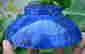 item-96094571=2