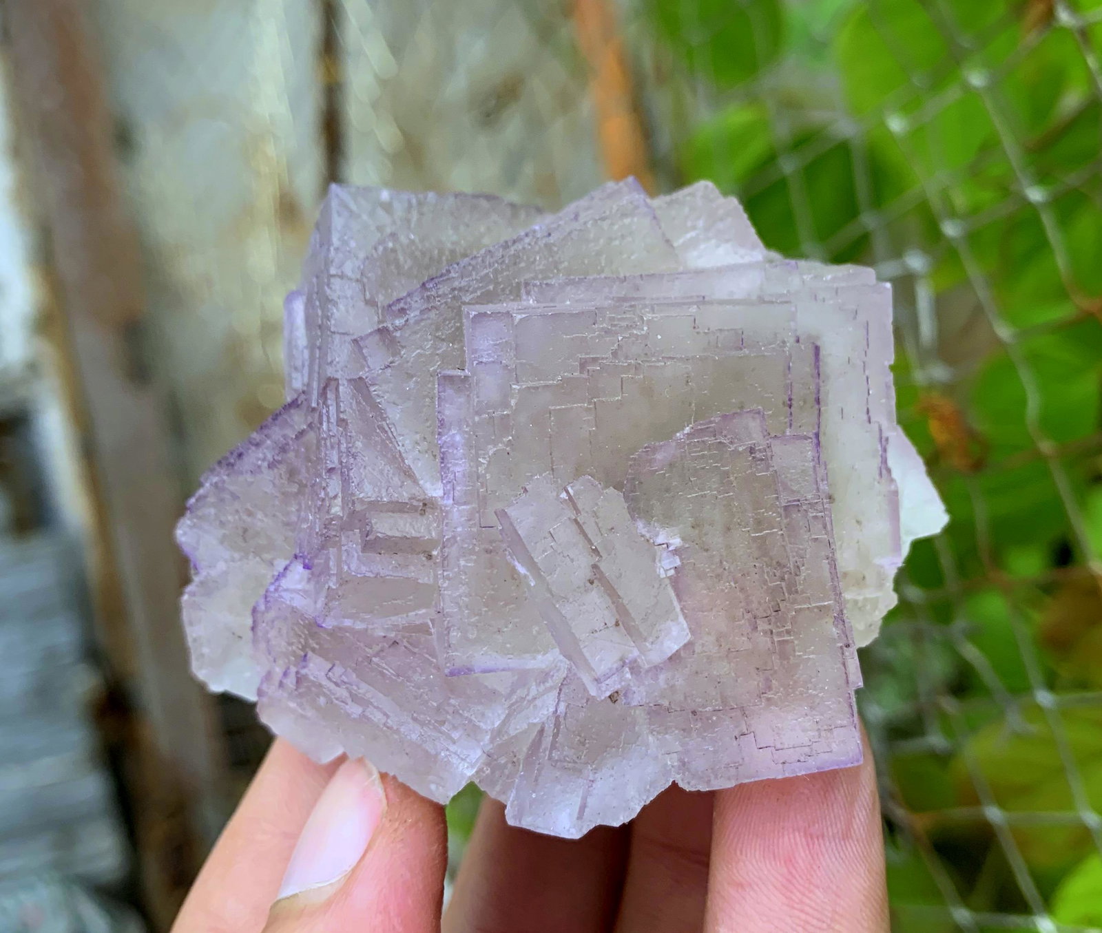 160 Gram Very Beautiful Natural Fluorite Specimen: Title: 160 Gram Very Beautiful Natural Fluorite Specimen Treatment: Natural Weight: 160 Gram Size/Dimensions: 65x60x35 mm Origin: Pakistan Reserve: $15.00 Shipping: Domestic: Flat-rate of $15.00 to an