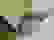 item-96108748=6