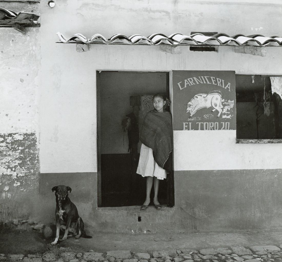 MANUEL ALVAREZ  BRAVO - Dog Number Twenty, 1958 (1 of 1)