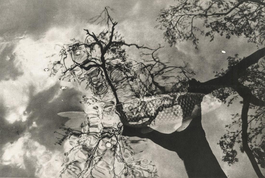 LEE FRIEDLANDER - Kyoto, 1981 (1 of 1)