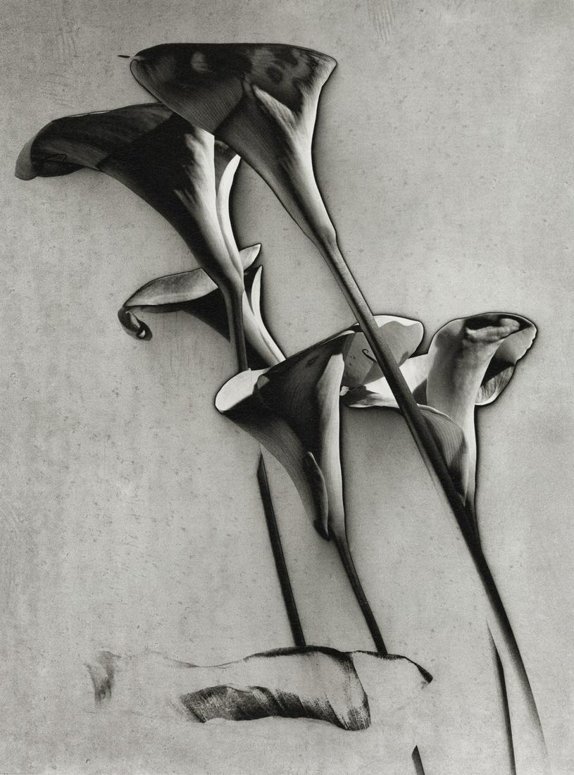 MAN RAY - Les Arums, 1930 (1 of 1)
