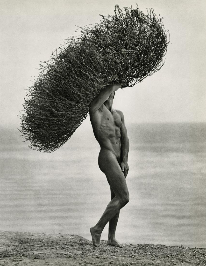 HERB RITTS - Male Nude with Tumbleweed, Paradise Cove: Artist: HERB RITTS Title: Male Nude with Tumbleweed, Paradise Cove, 1986 Medium: Sheet Fed Gravure, 1988, Japan Dimensions: 10.75x13.85" Description: Heat Wax Mounted on 14x18" Conservation Board Arti