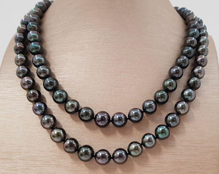 9x11mm Black Tahitian Pearls - 925 Silver - Necklace (1 of 9)