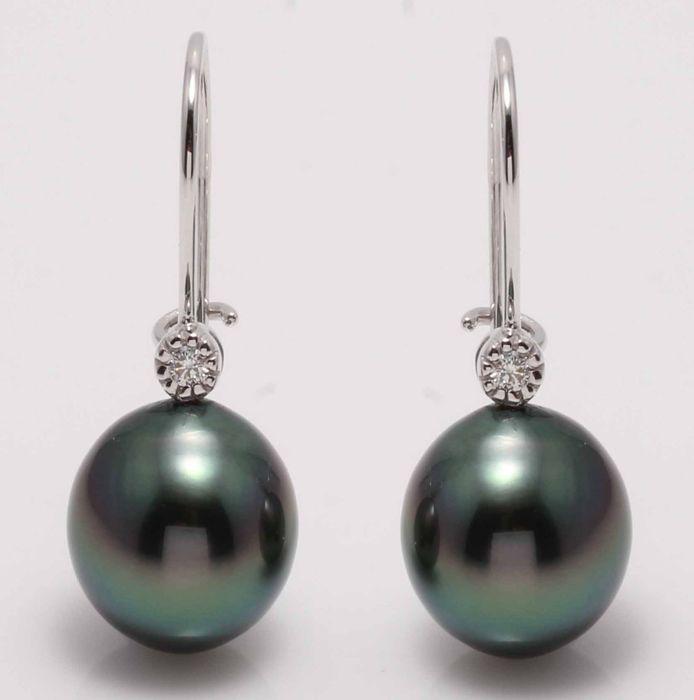 14 kt. White Gold - 10x11mm Tahitian Pearl Drops -: Title: 14 kt. White Gold - 10x11mm Tahitian Pearl Drops - Earrings - 0.04 ct Description: These earring hooks are set in 14K white gold and feature 0.04Ct VS Diamonds and big lustrous peacock Tahitian